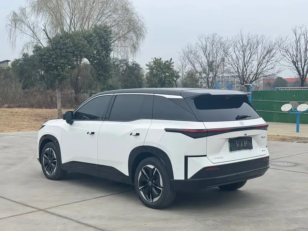 Toyota Platinum 3X 2025 из CN, фото 6