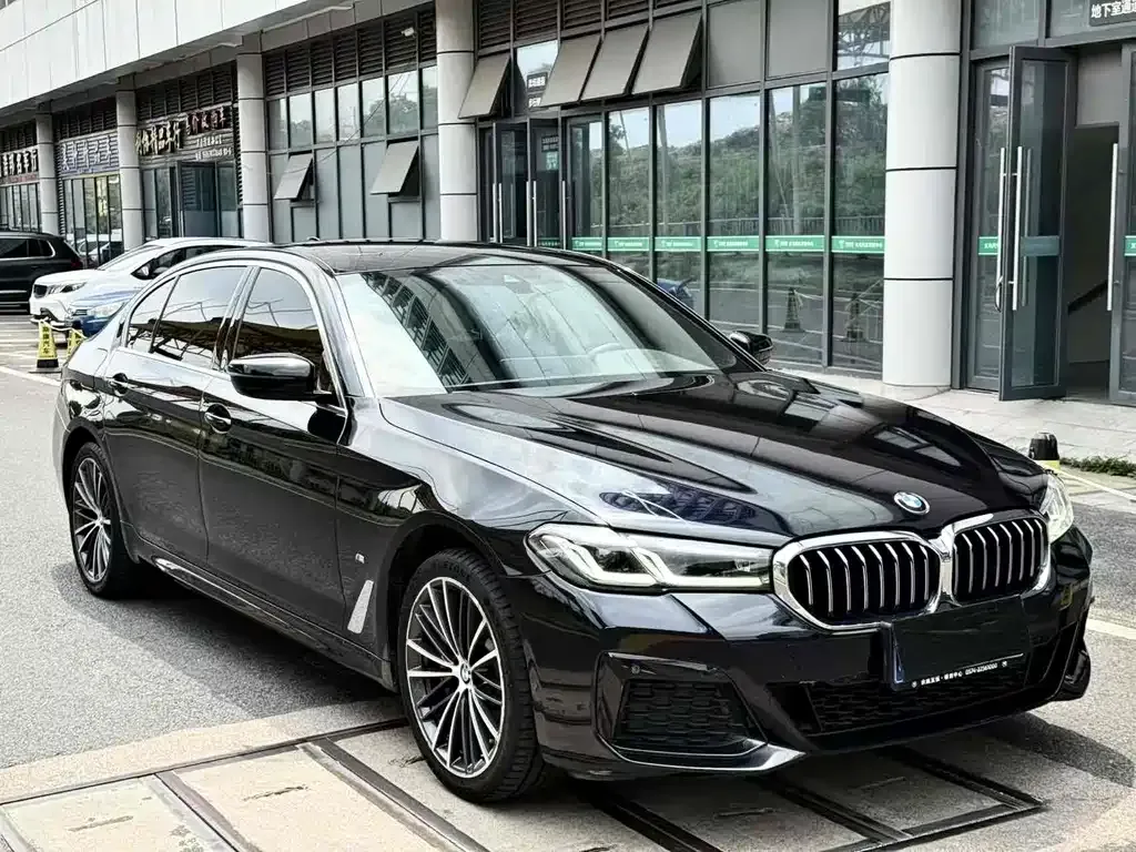 BMW 5 Series 2021 из CN, фото 7