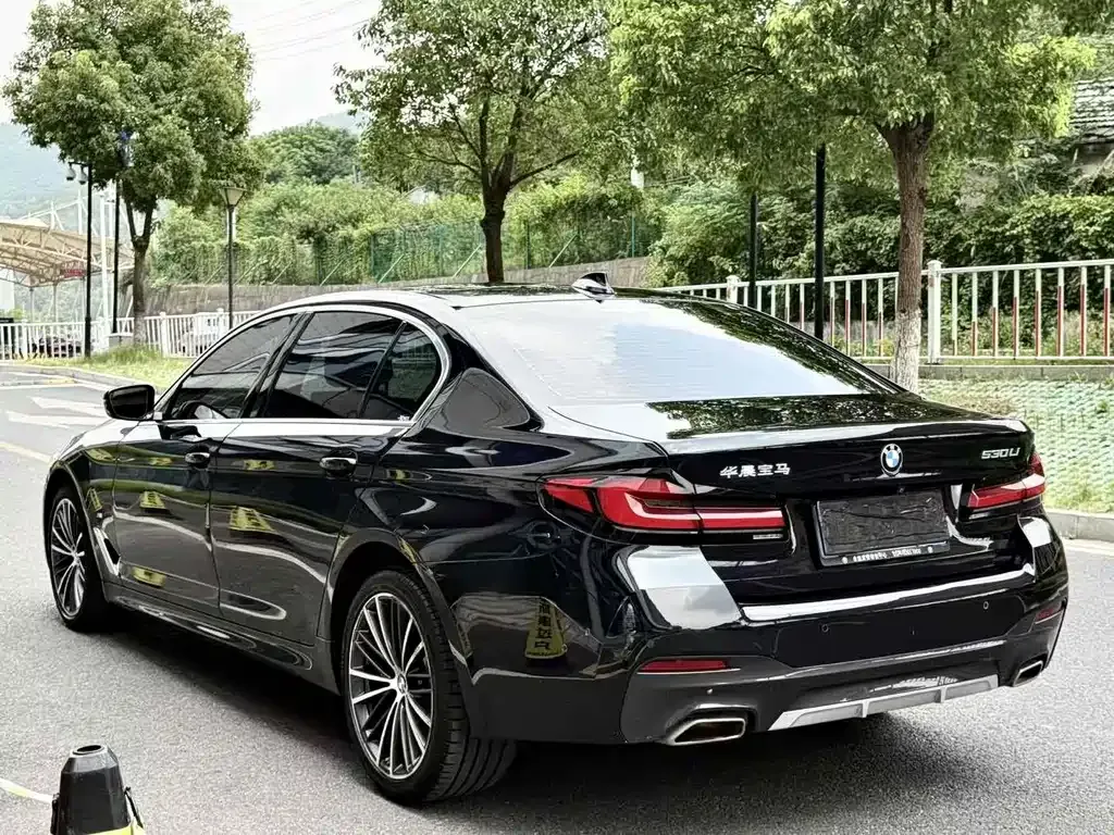 BMW 5 Series 2021 из CN, фото 4