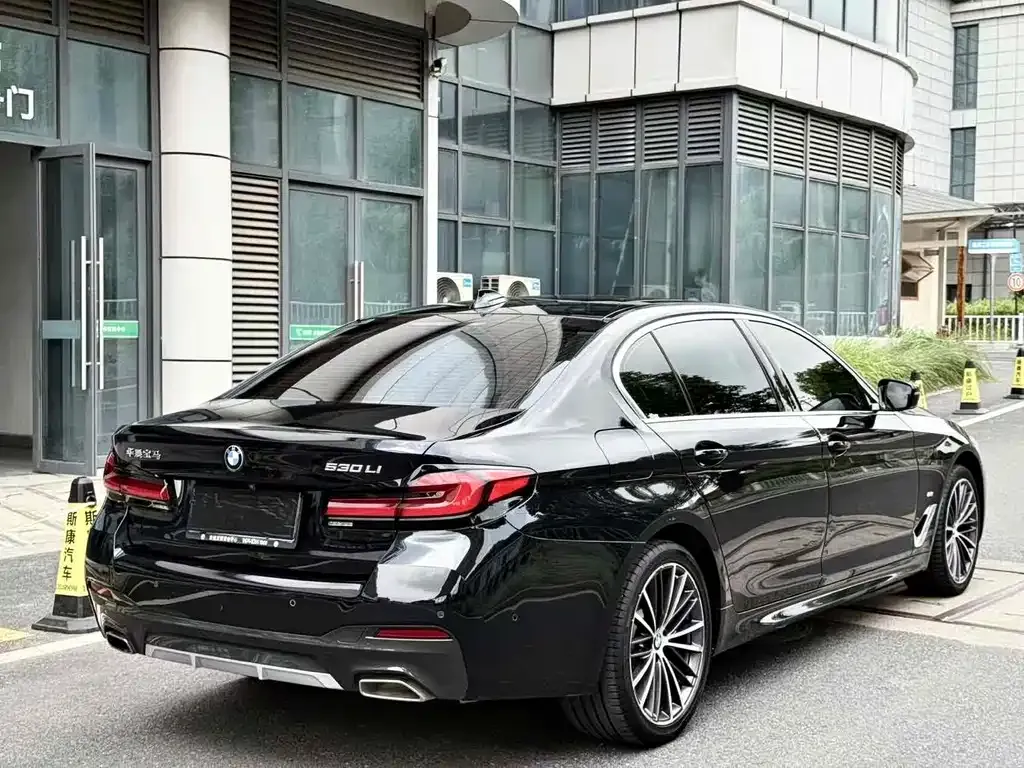 BMW 5 Series 2021 из CN, фото 8
