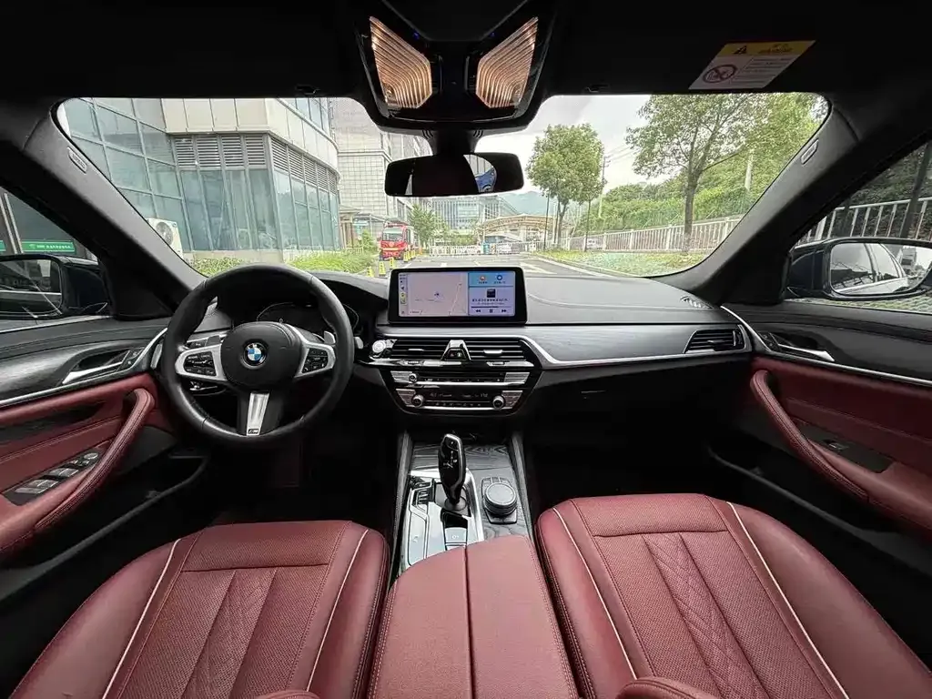 BMW 5 Series 2021 из CN, фото 10