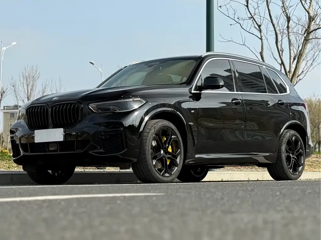 BMW X5 2022 из CN, фото 3