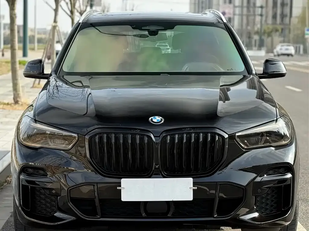 BMW X5 2022 из CN, фото 4
