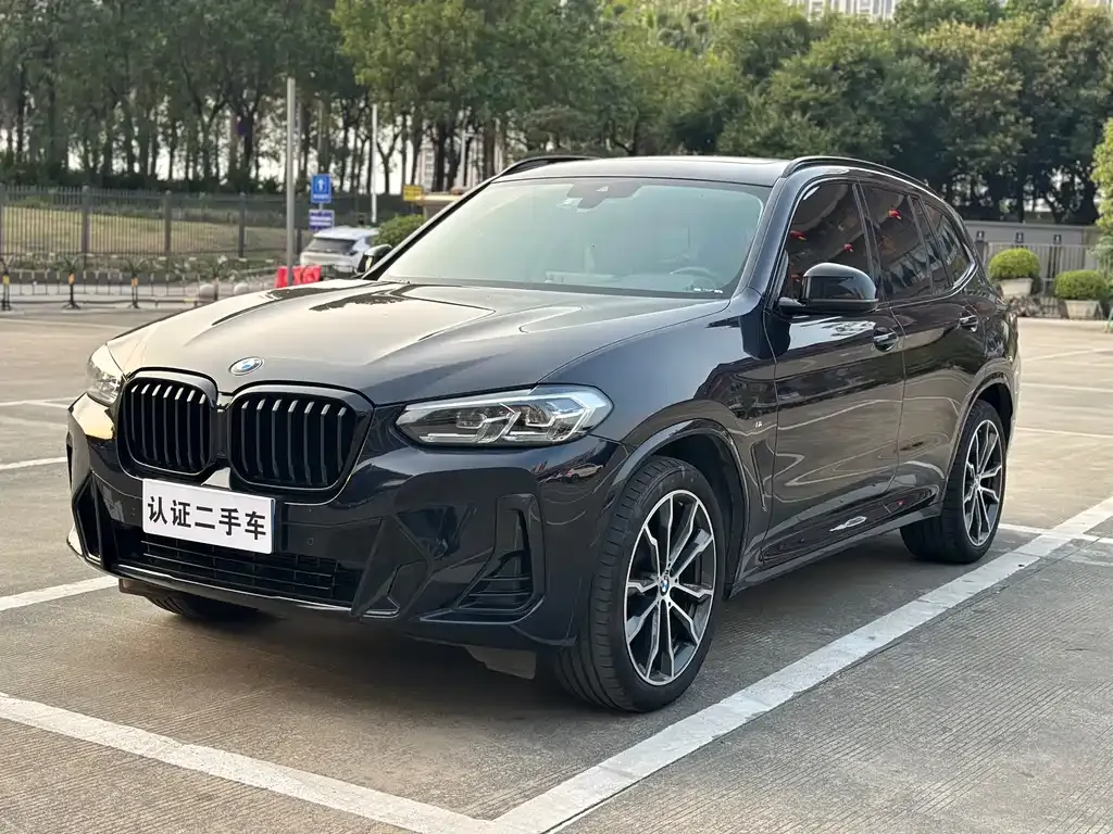 BMW X3 — фото 1