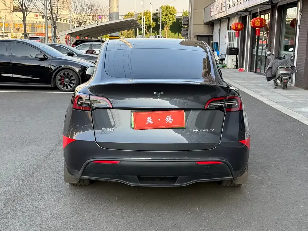Tesla Model Y — фото 9