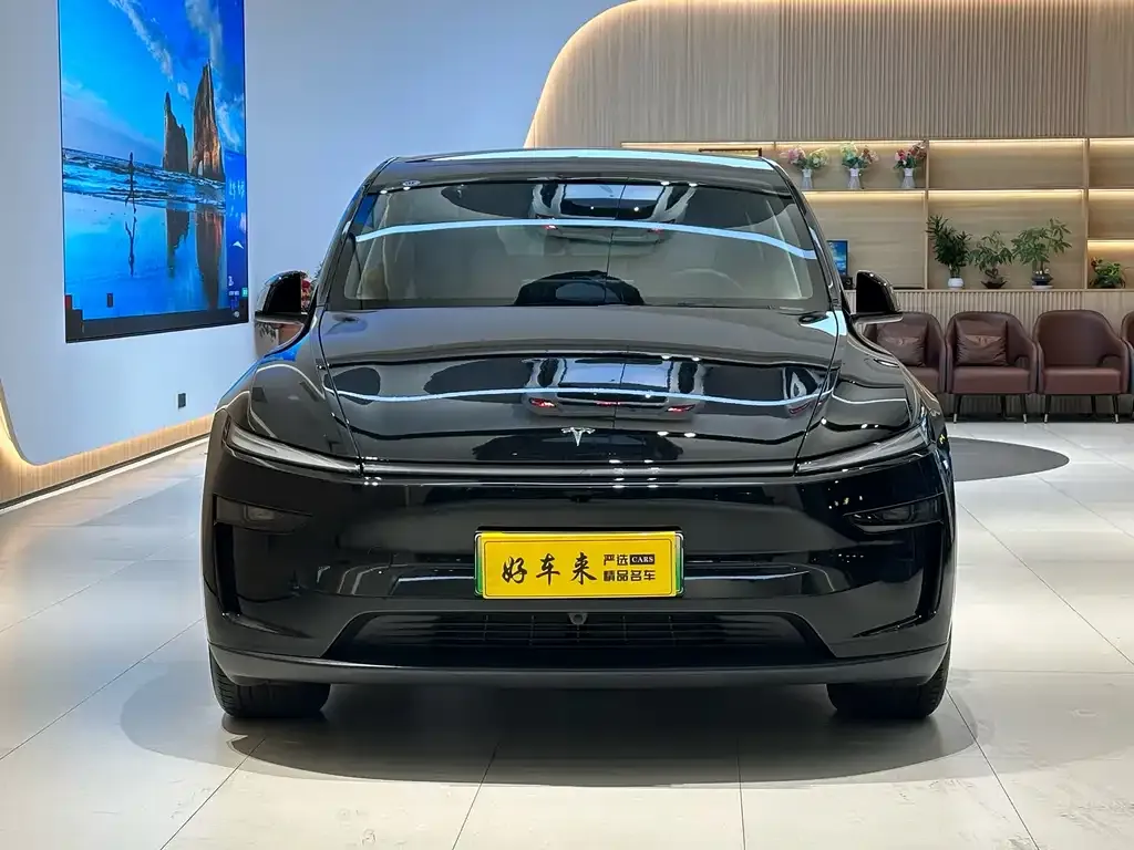 Tesla Model Y — фото 2
