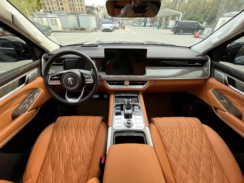 Tank 500 New Energy 2023 из CN, фото 10