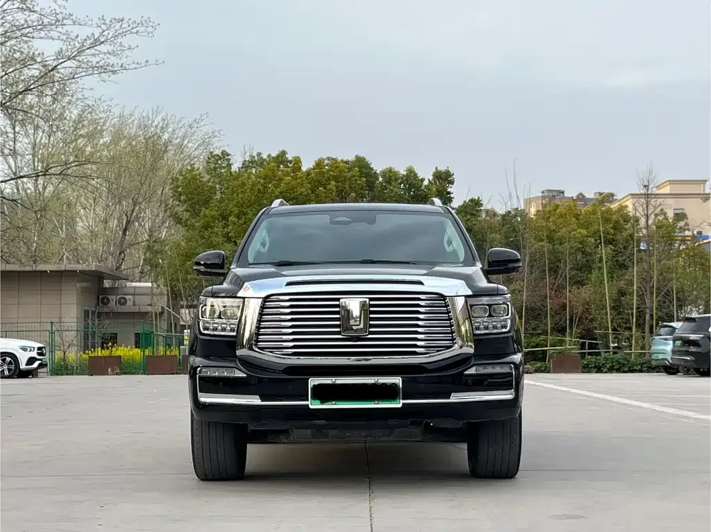 Tank 500 New Energy 2023 из CN, фото 9