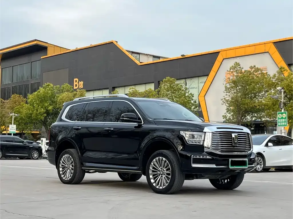 Tank 500 New Energy 2023 из CN, фото 5