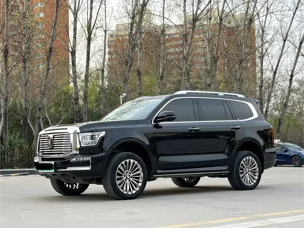 Tank 500 New Energy 2023 из CN, фото 4