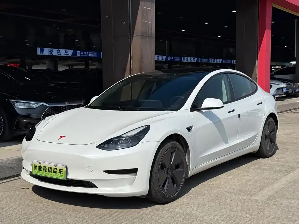 Tesla Model 3 2021 из CN, фото 1