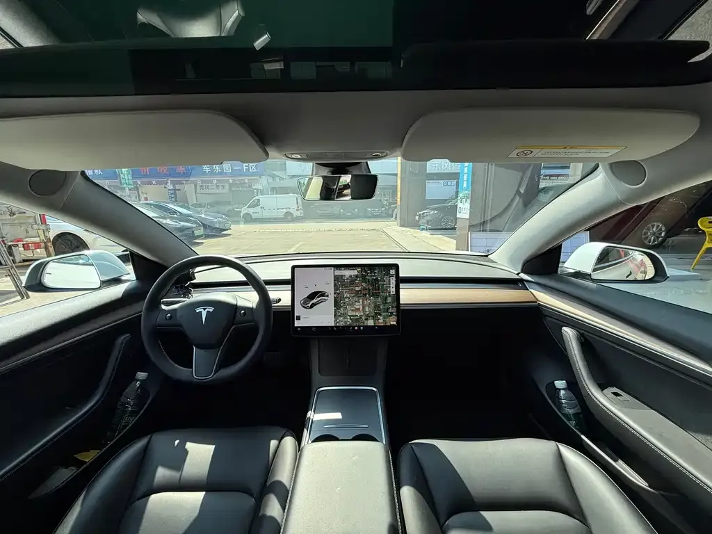 Tesla Model 3 2021 из CN, фото 6