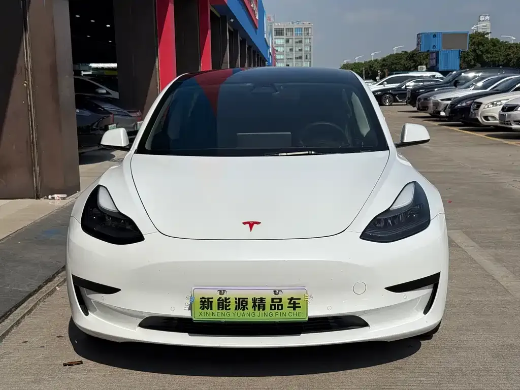 Tesla Model 3 2021 из CN, фото 2