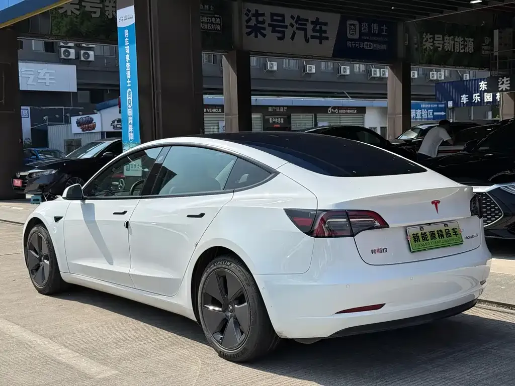 Tesla Model 3 2021 из CN, фото 9