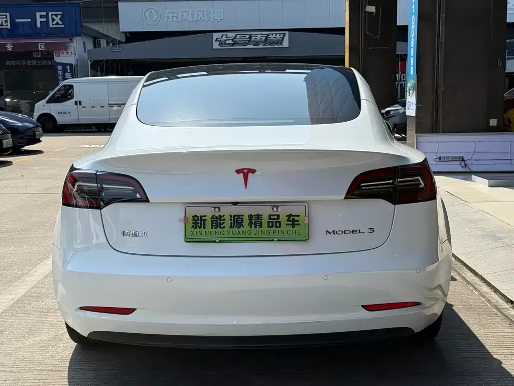 Tesla Model 3 2021 из CN, фото 3
