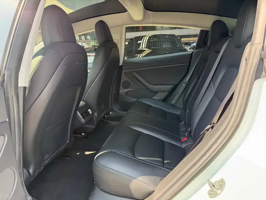 Tesla Model 3 2021 из CN, фото 4
