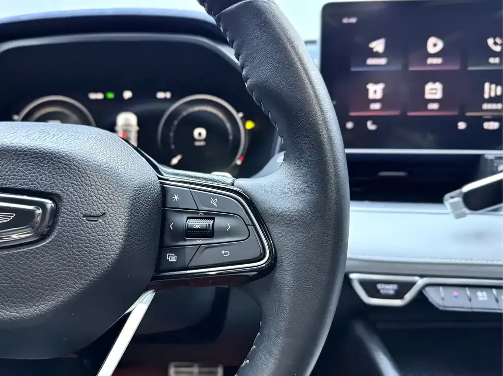 Geely Xingrui 2021 из CN, фото 10