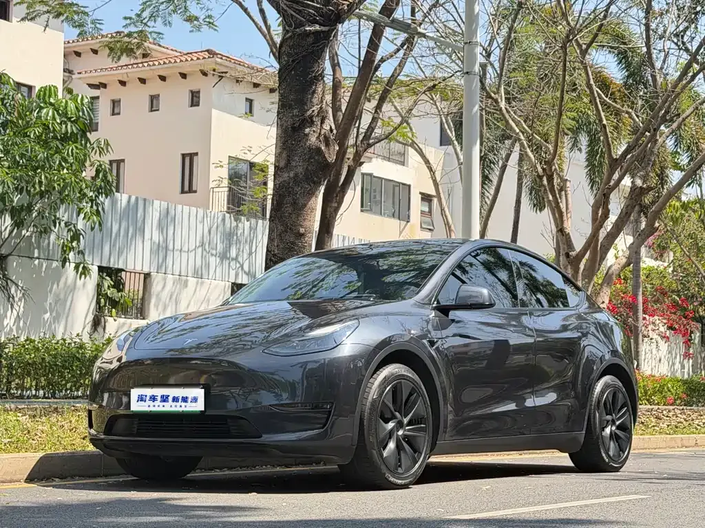 Tesla Model Y — фото 1