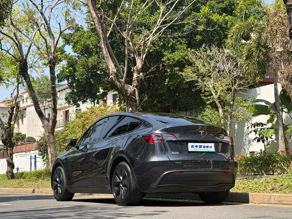 Tesla Model Y — фото 6