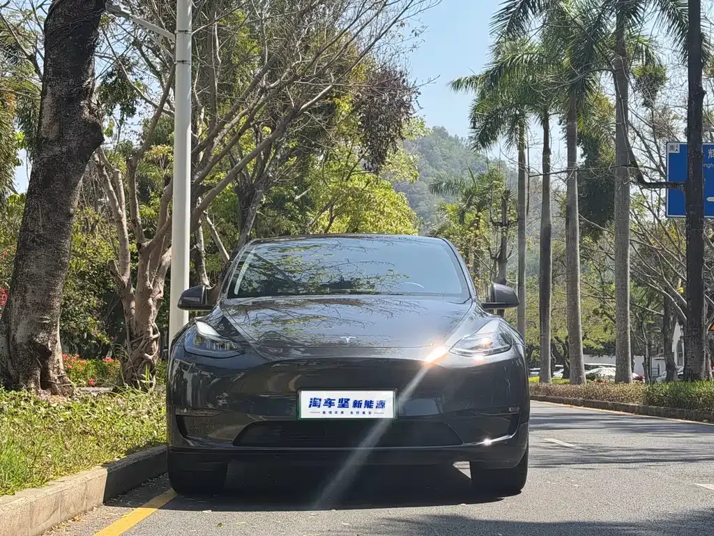 Tesla Model Y — фото 4