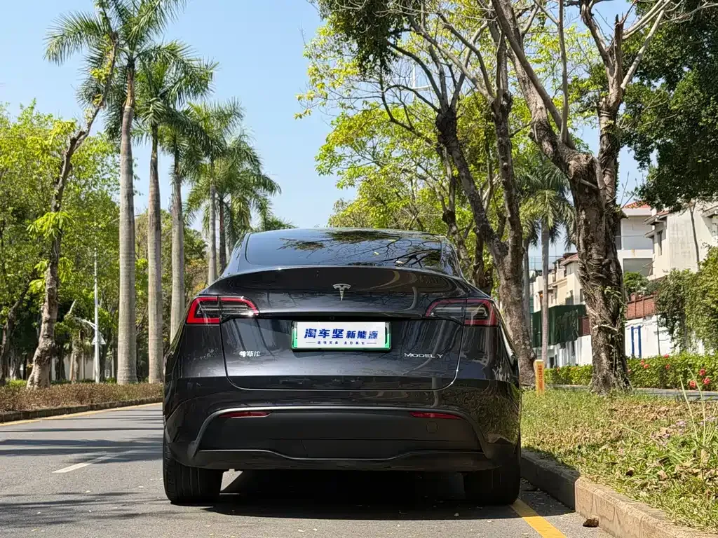 Tesla Model Y — фото 8