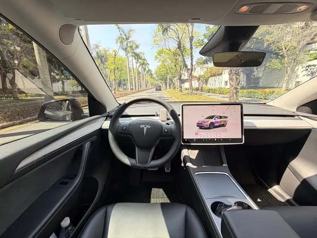 Tesla Model Y — фото 9