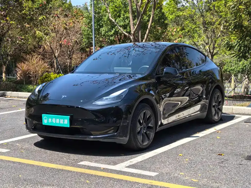 Tesla Model Y — фото 1