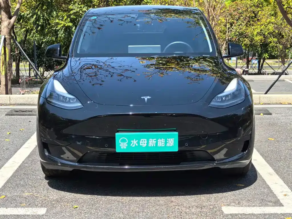 Tesla Model Y — фото 9