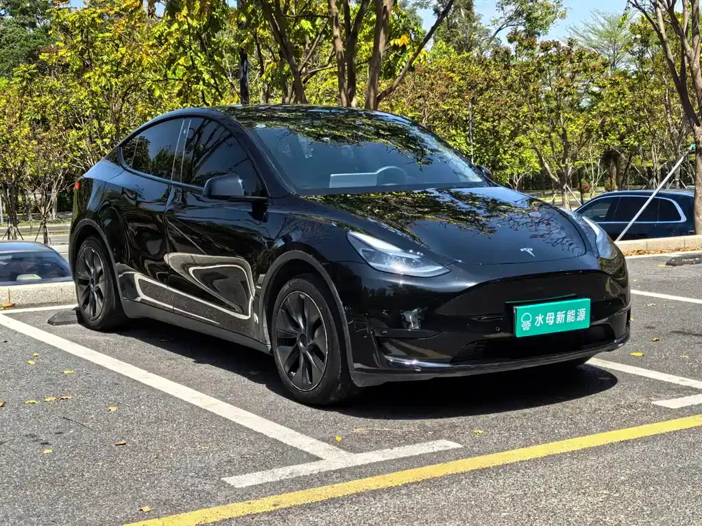 Tesla Model Y — фото 2