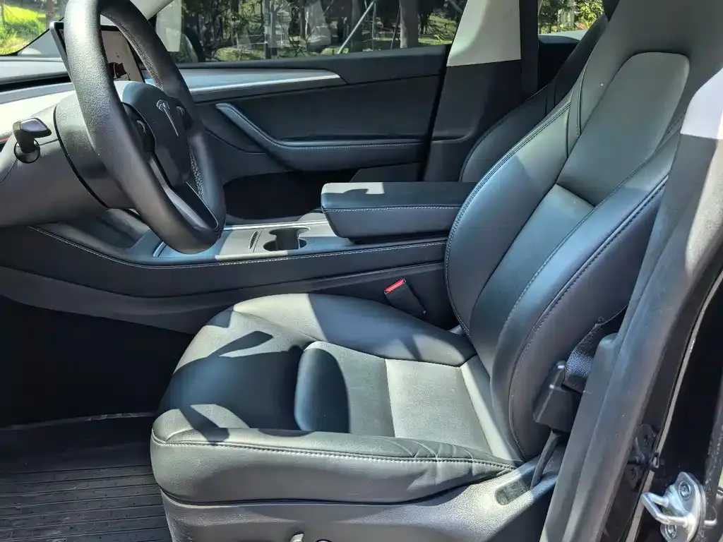 Tesla Model Y — фото 8