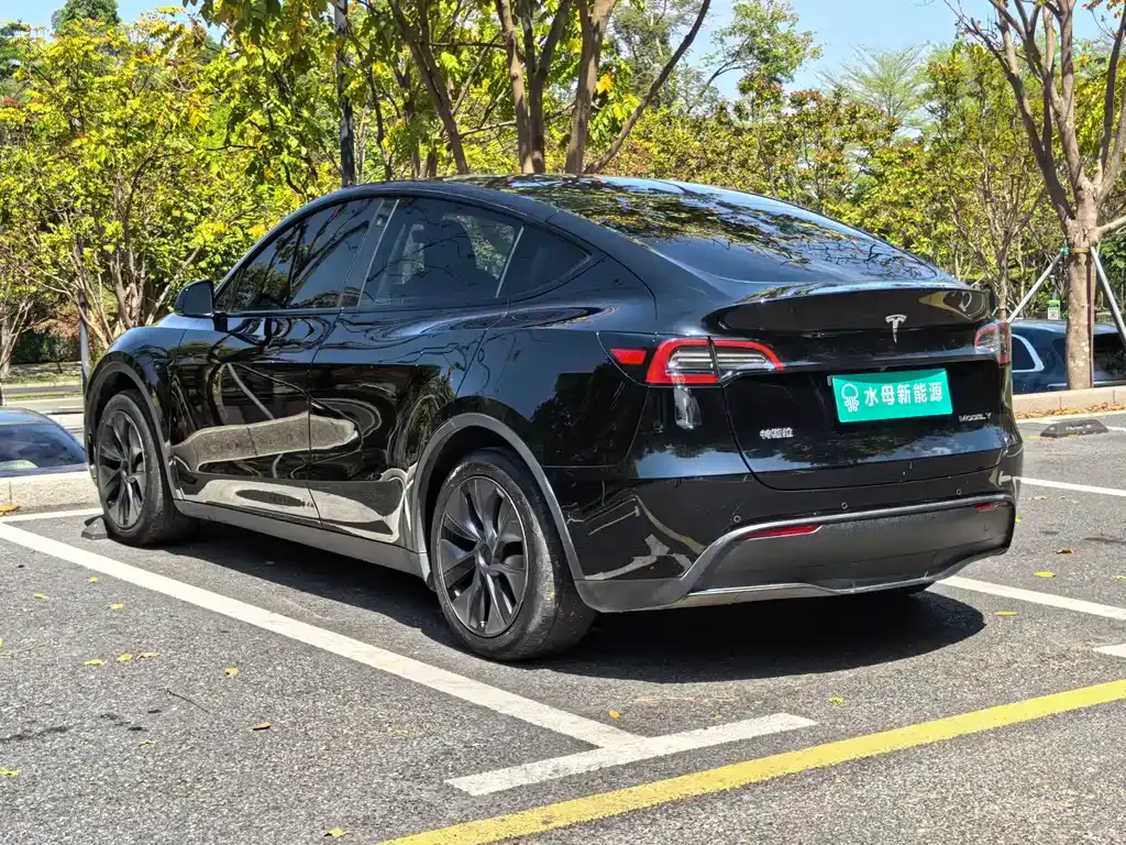 Tesla Model Y — фото 5