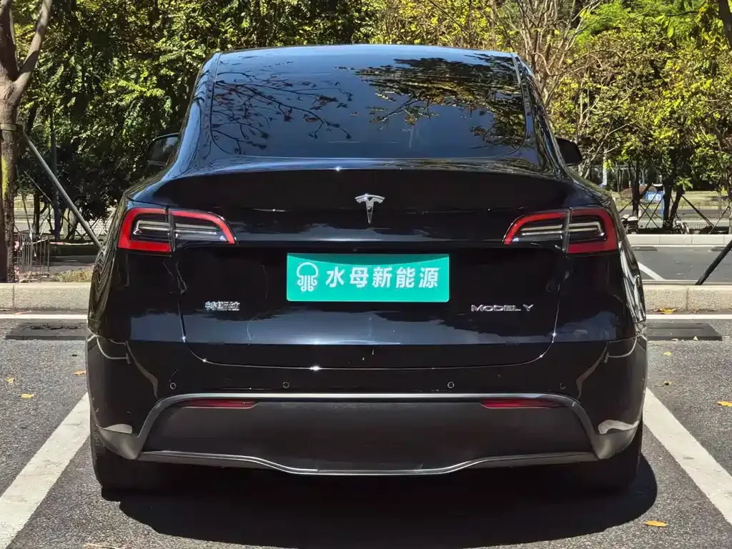 Tesla Model Y — фото 7