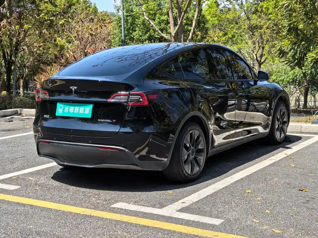 Tesla Model Y — фото 3