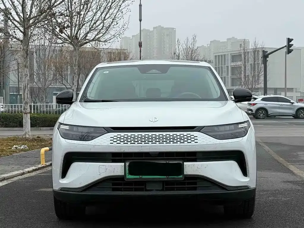 Leapmotor C11 2023 из CN, фото 7