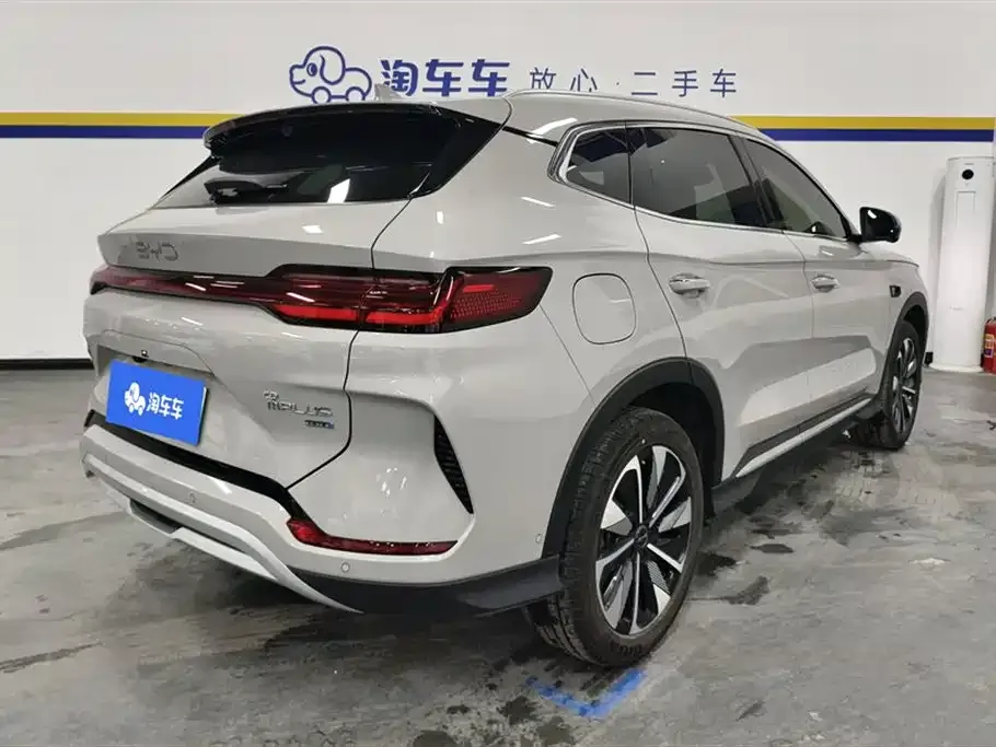 BYD PLUS New Energy — фото 8