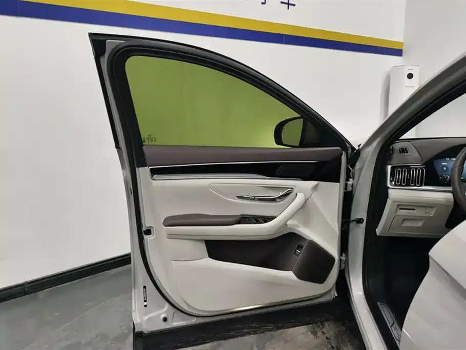 BYD PLUS New Energy — фото 3