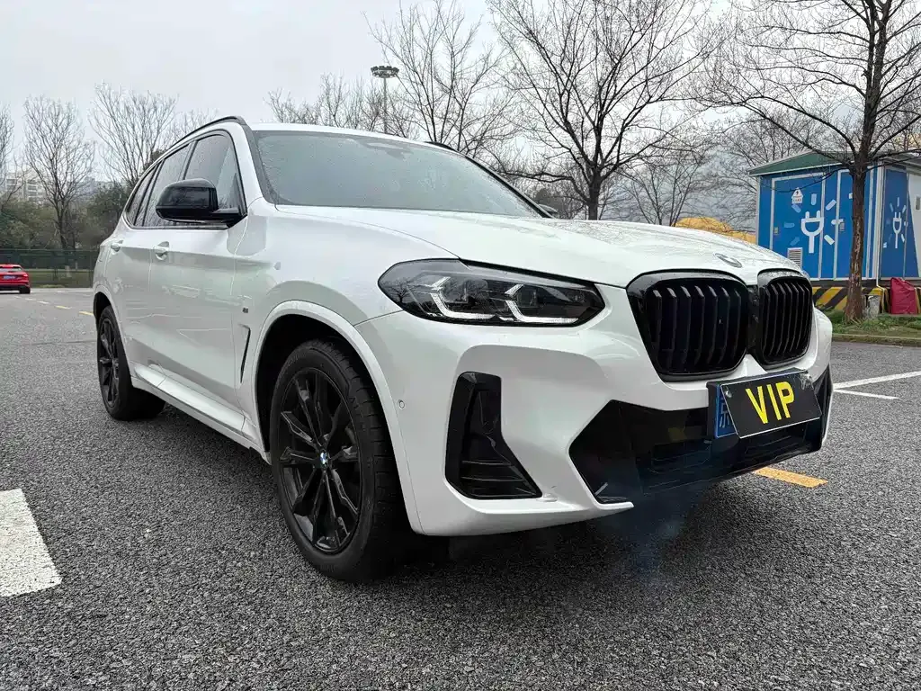 BMW X3 2023 из CN, фото 9