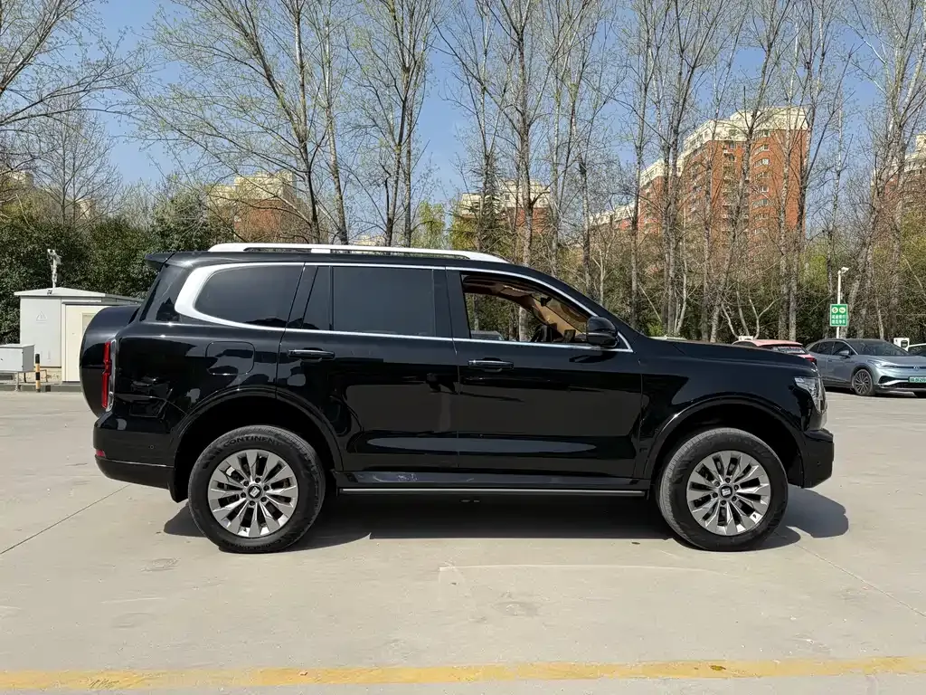 Tank 500 New Energy 2024 из CN, фото 10