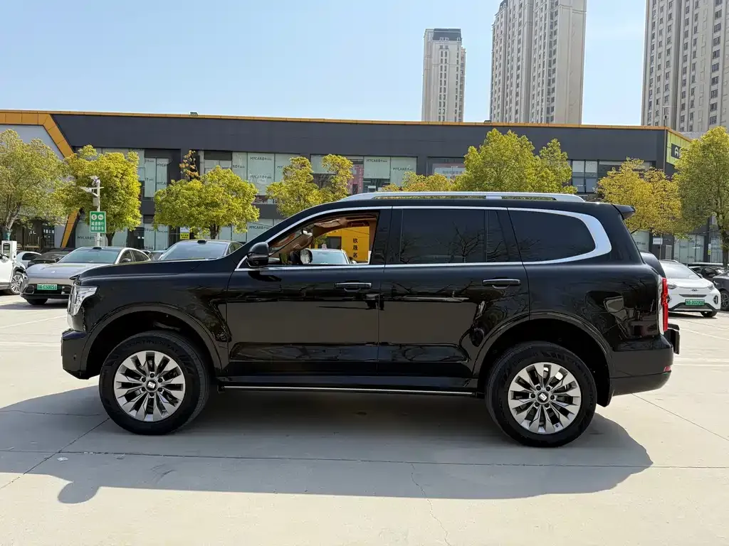 Tank 500 New Energy 2024 из CN, фото 2