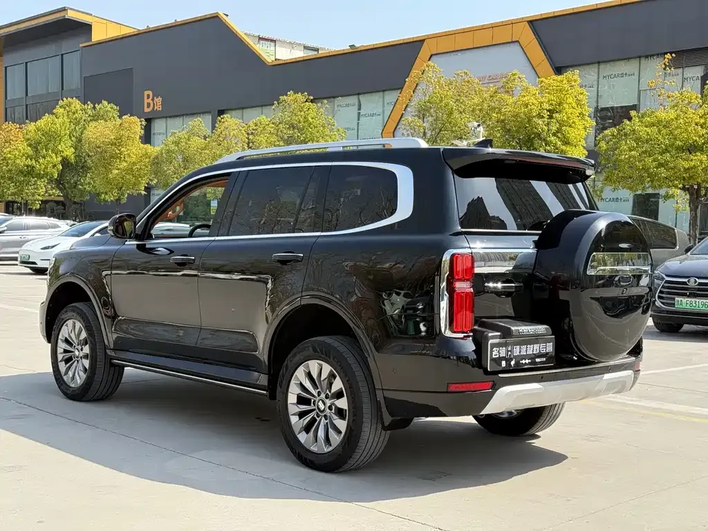 Tank 500 New Energy 2024 из CN, фото 4