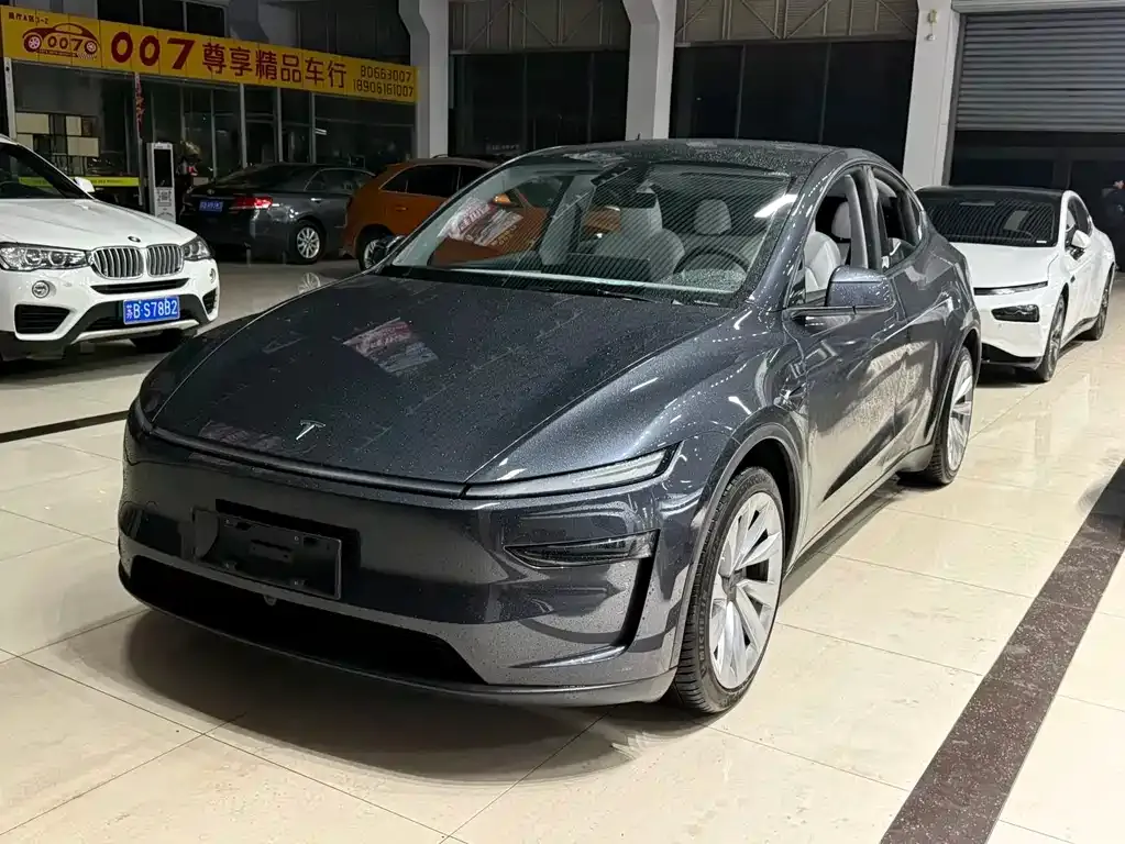 Tesla Model Y 2025 из CN, фото 1