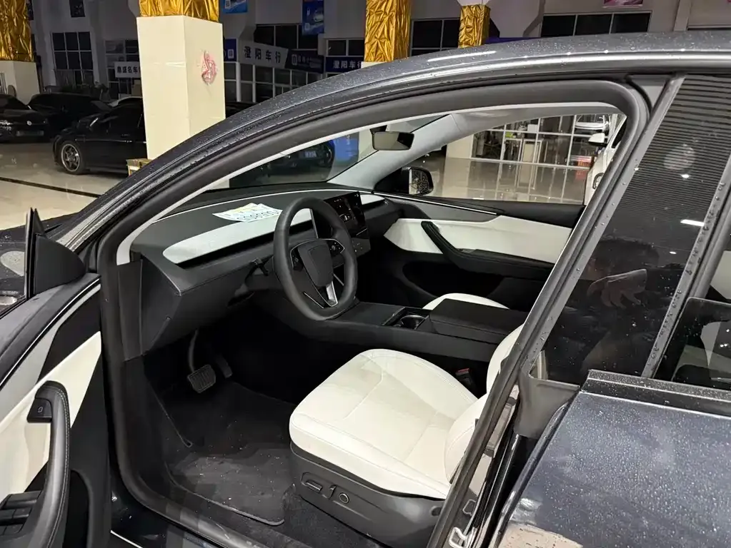 Tesla Model Y 2025 из CN, фото 5