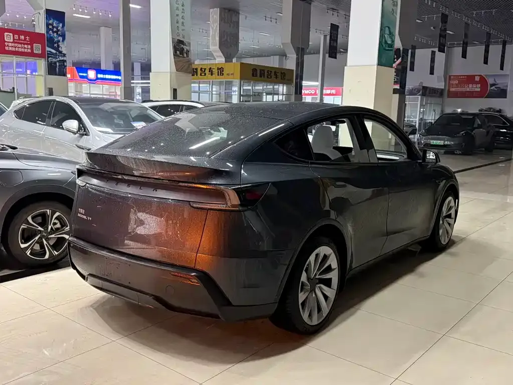 Tesla Model Y 2025 из CN, фото 4