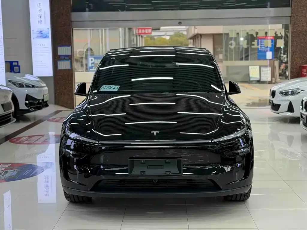 Tesla Model Y — фото 2