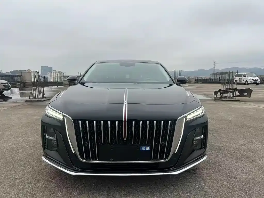 Hongqi H5 2024 из CN, фото 9