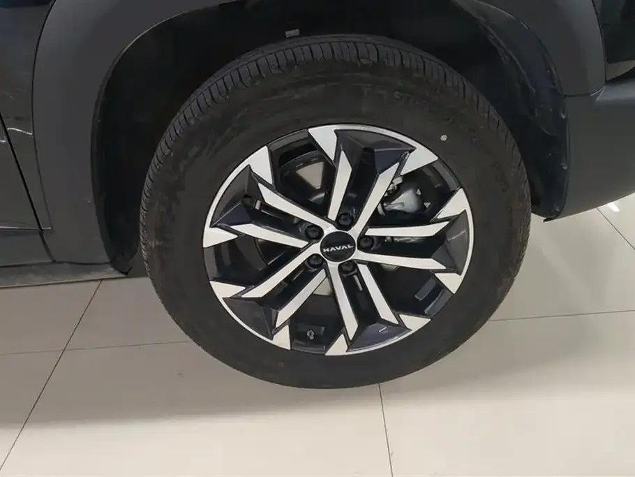 Haval Big Dog 2025 из CN, фото 6