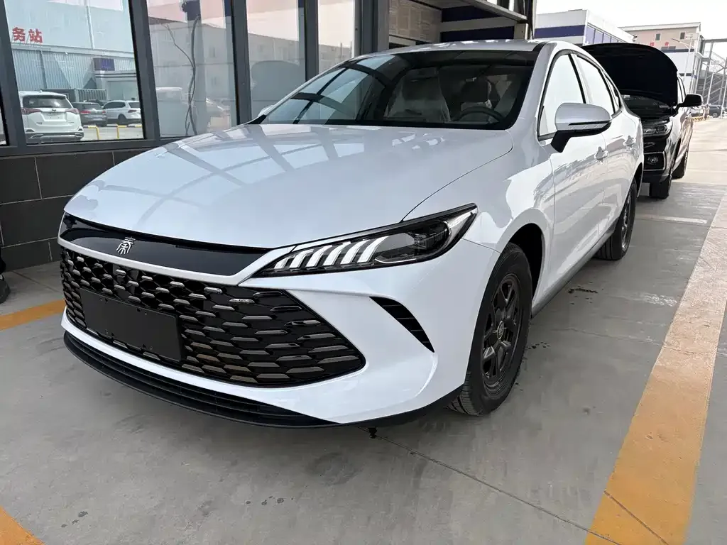 BYD Qin PLUS — фото 1