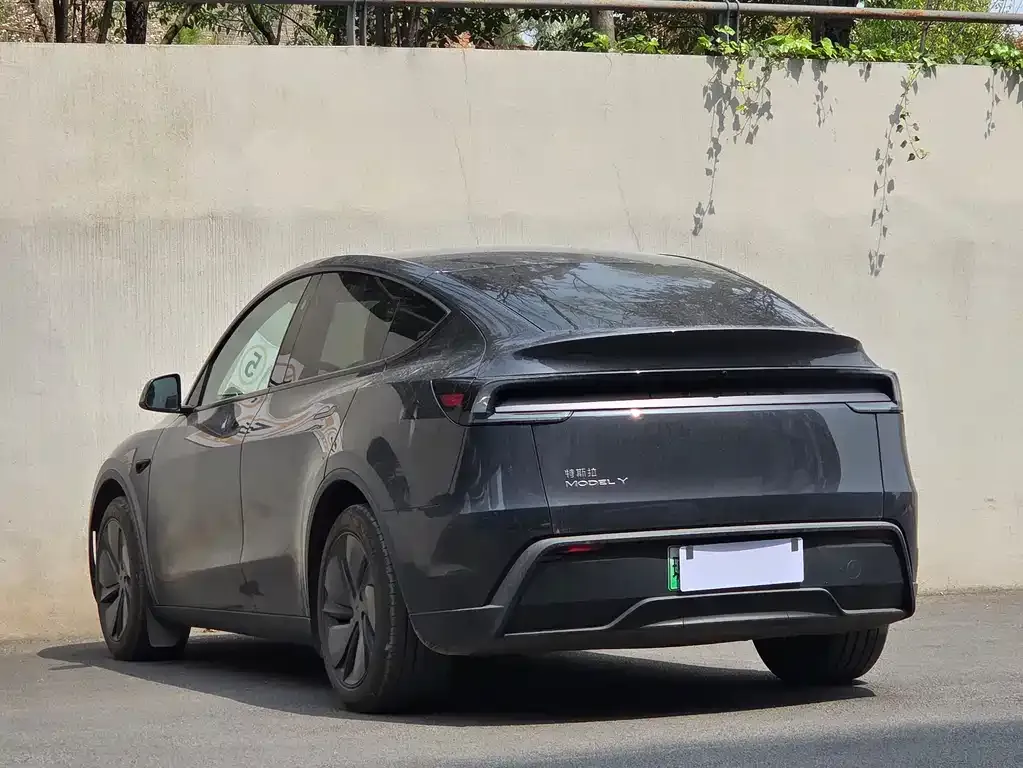 Tesla Model Y — фото 10