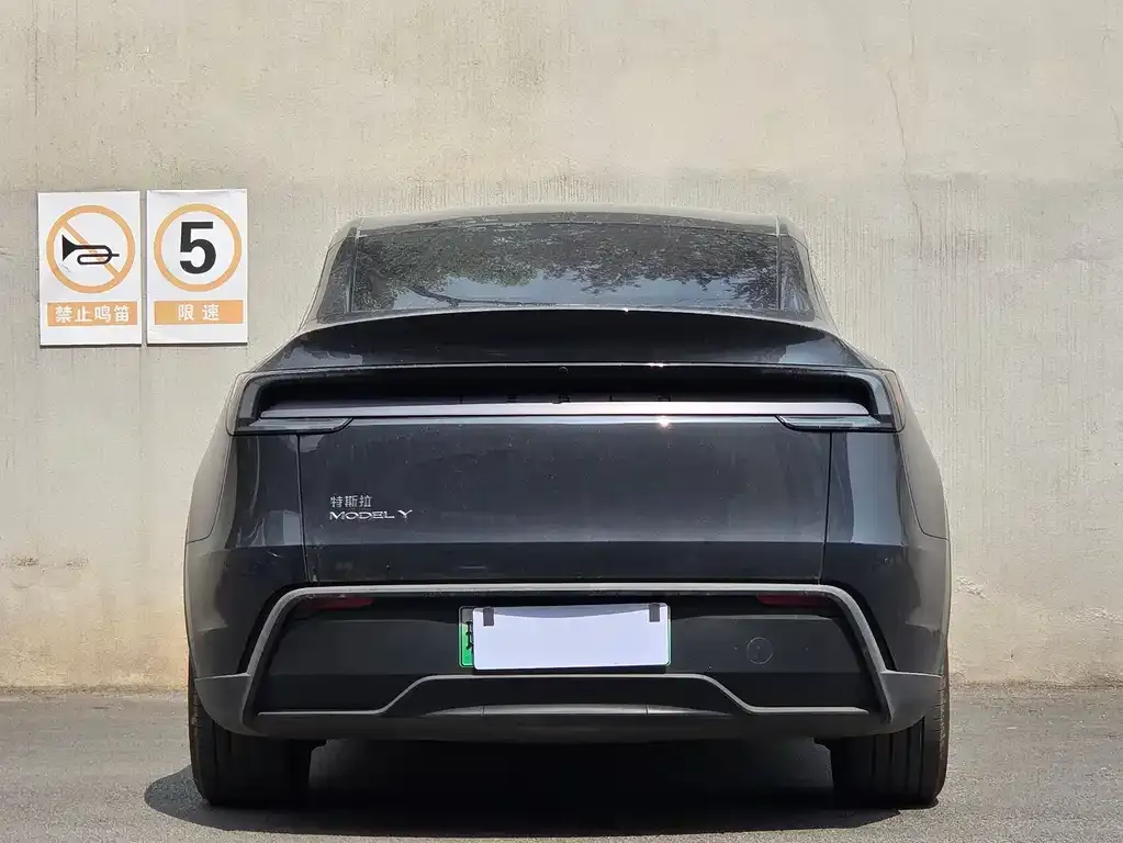 Tesla Model Y — фото 2