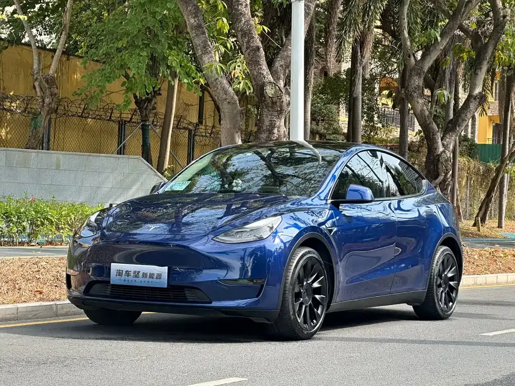 Tesla Model Y — фото 1